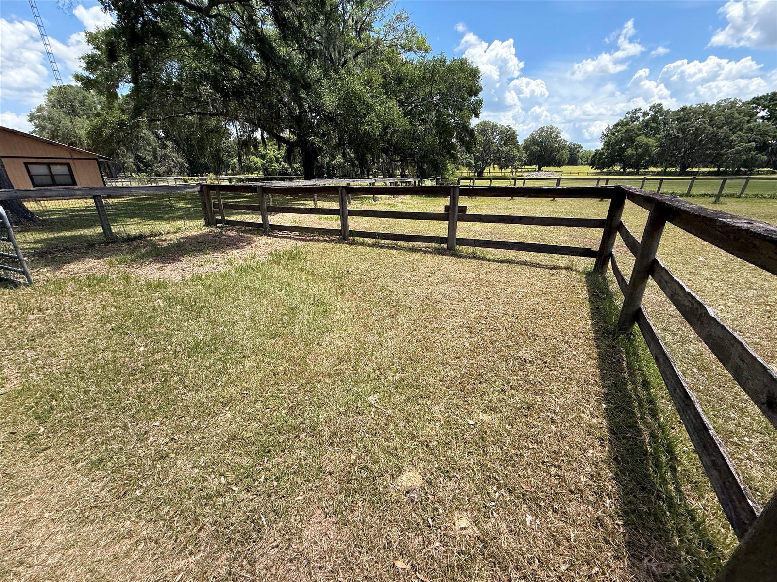 7119 SW 80TH AVE, OCALA, FL, 34481