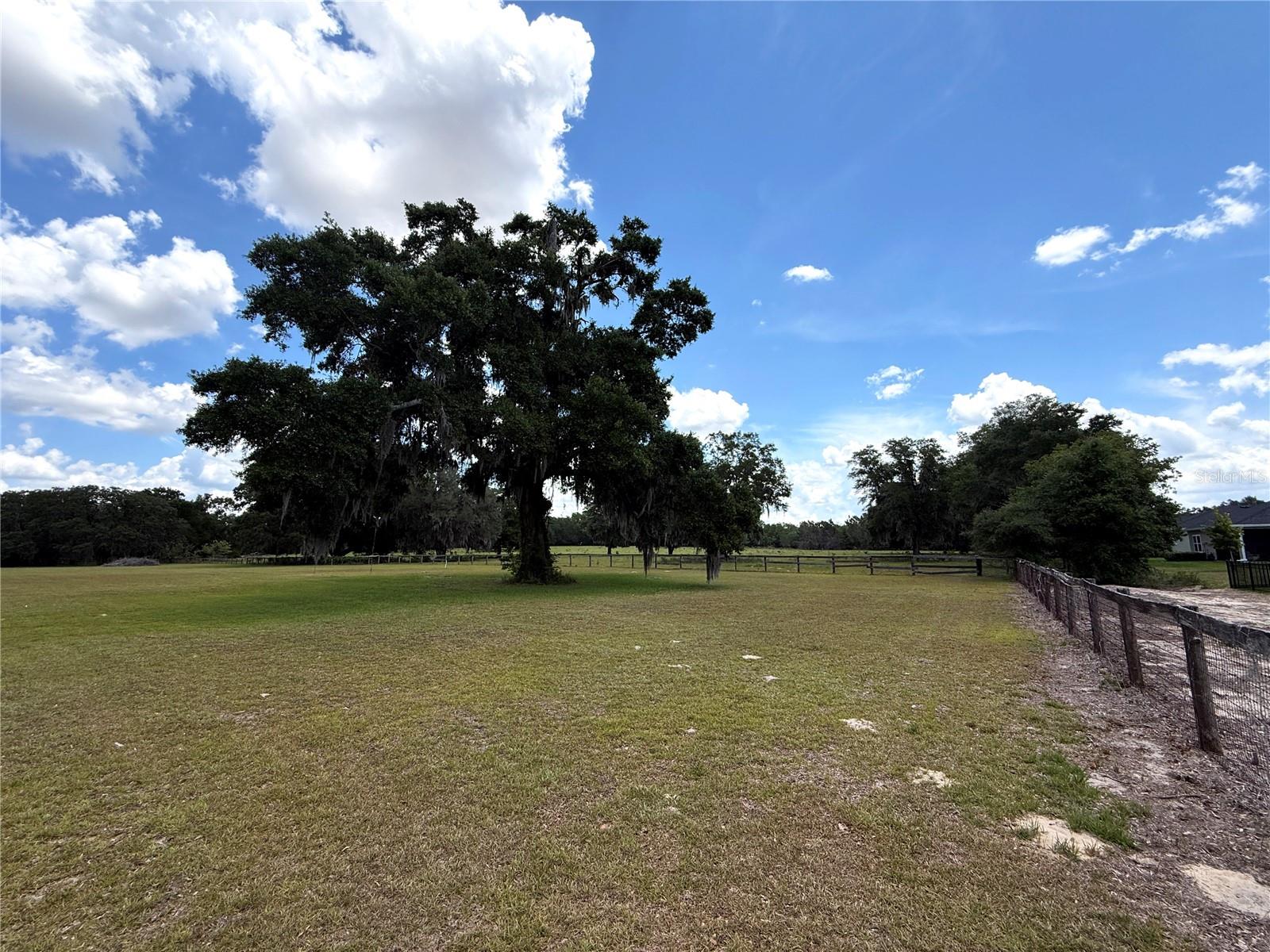 7119 SW 80TH AVE, OCALA, FL, 34481