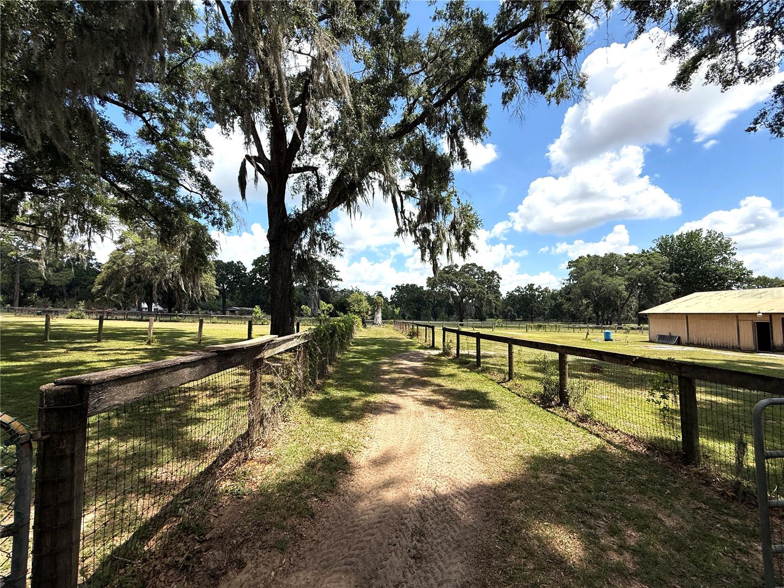 7119 SW 80TH AVE, OCALA, FL, 34481