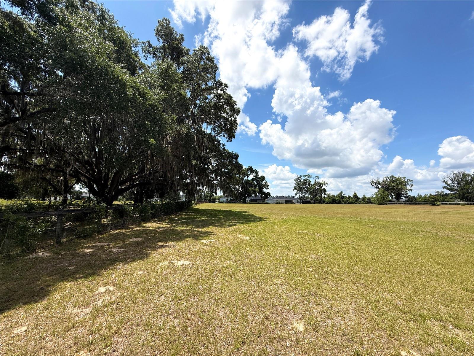 7119 SW 80TH AVE, OCALA, FL, 34481