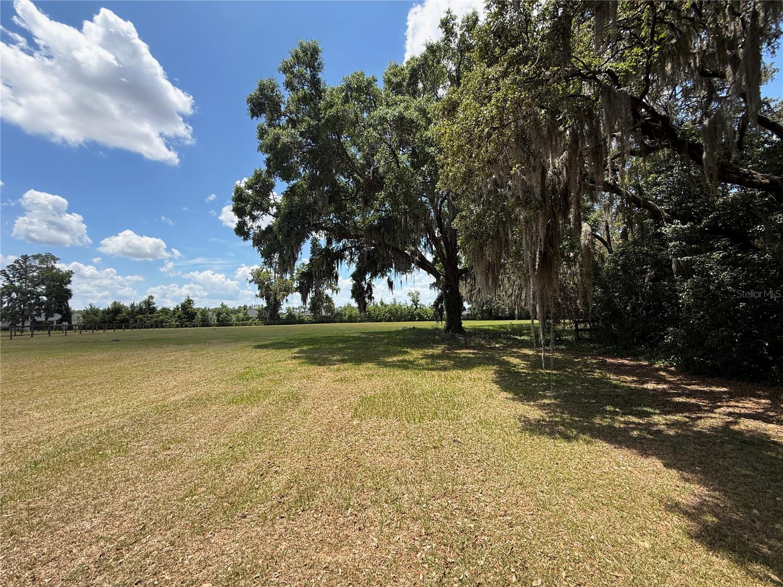 7119 SW 80TH AVE, OCALA, FL, 34481