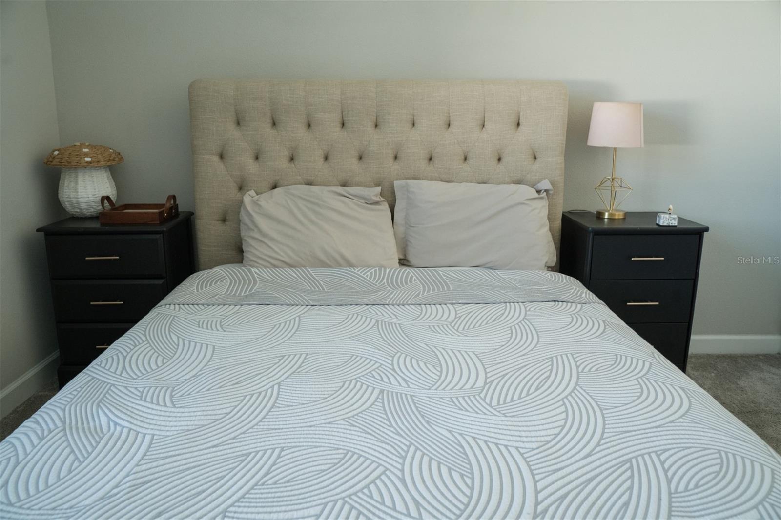 13234 ORCA SOUND DR, RIVERVIEW, FL, 33579