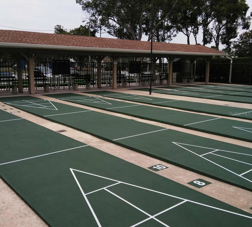 2380 SHELLY DR #B, PALM HARBOR, FL, 34684