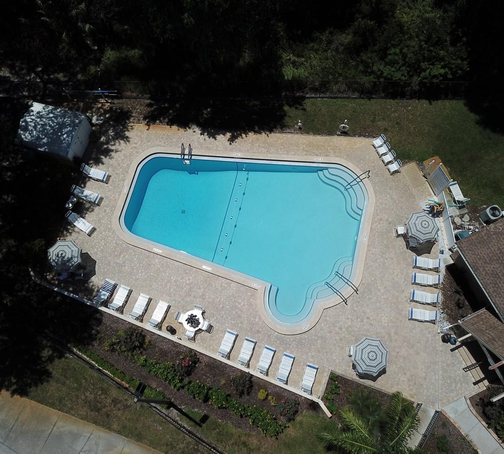 2380 SHELLY DR #B, PALM HARBOR, FL, 34684