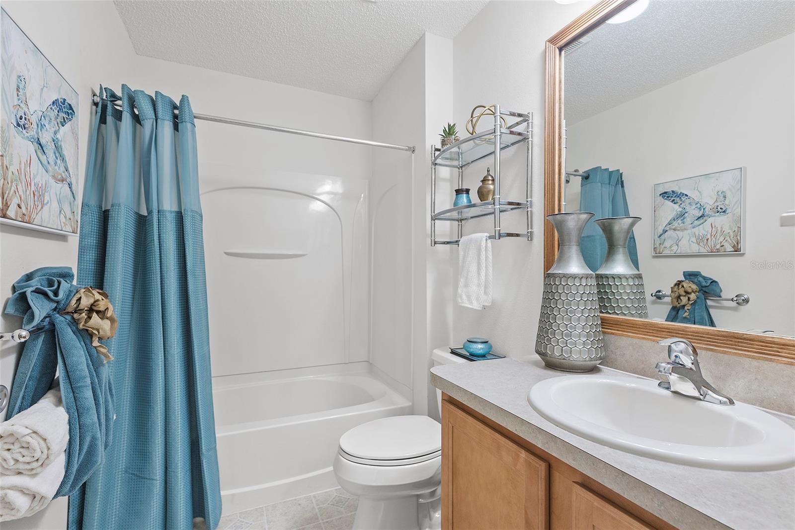 1291 JONESVILLE TER, THE VILLAGES, FL, 32162