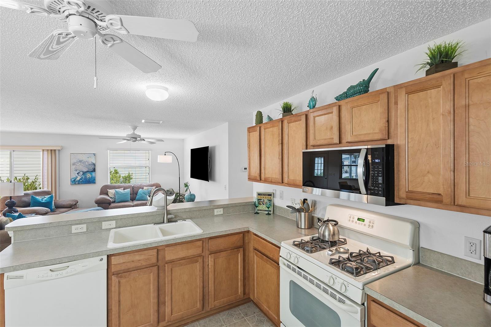 1291 JONESVILLE TER, THE VILLAGES, FL, 32162