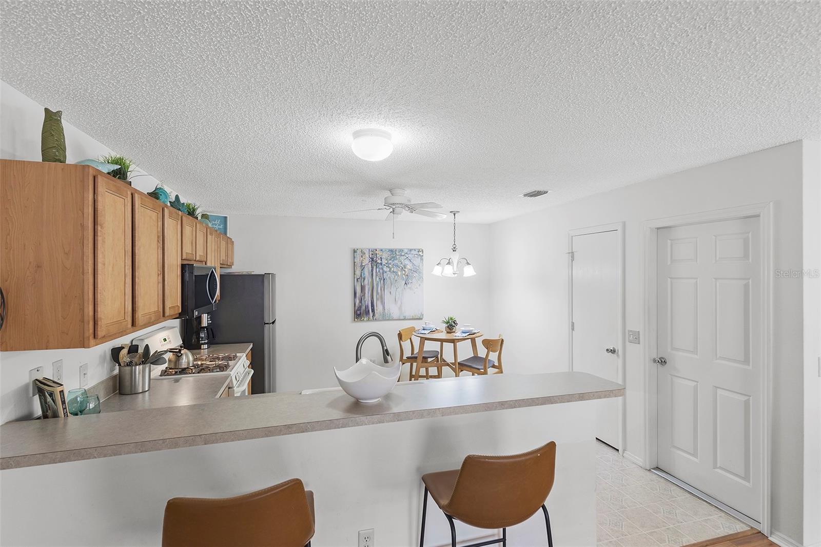 1291 JONESVILLE TER, THE VILLAGES, FL, 32162