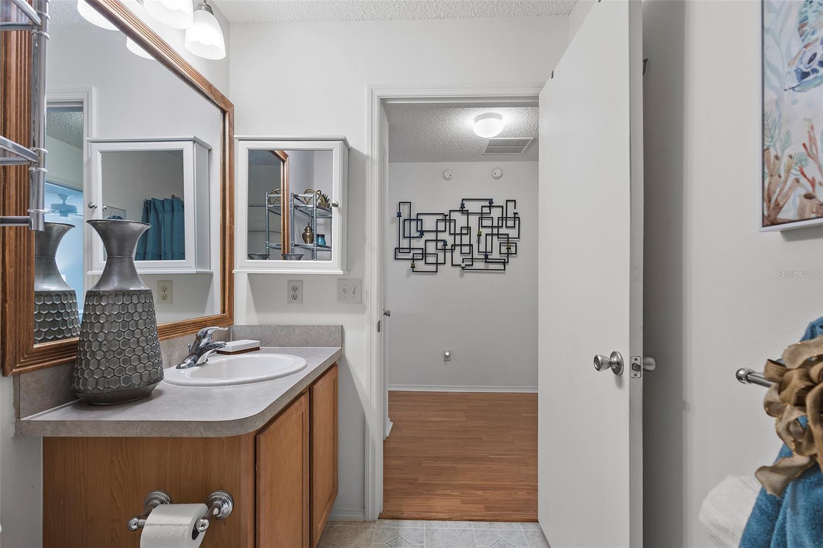 1291 JONESVILLE TER, THE VILLAGES, FL, 32162