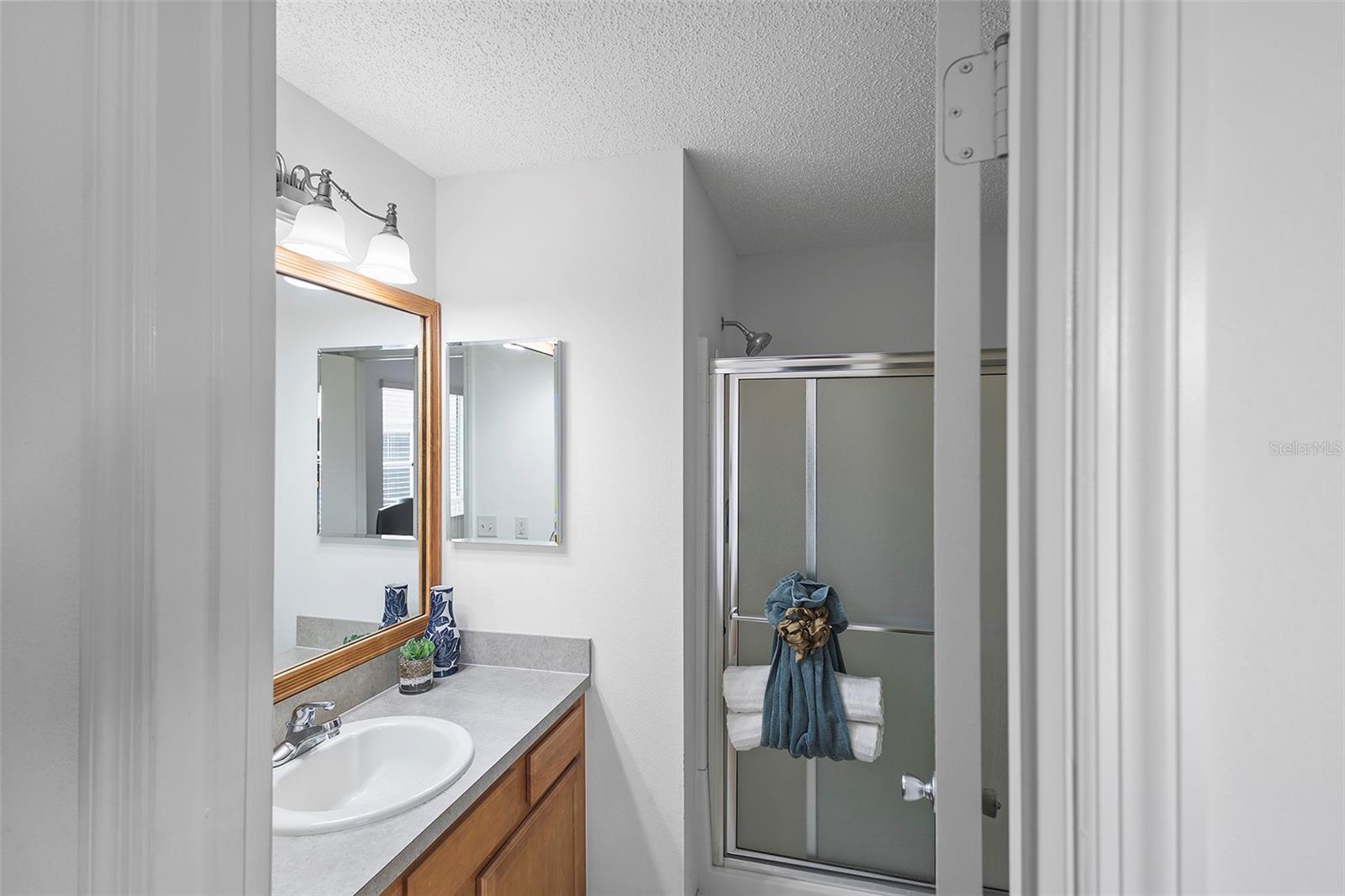 1291 JONESVILLE TER, THE VILLAGES, FL, 32162