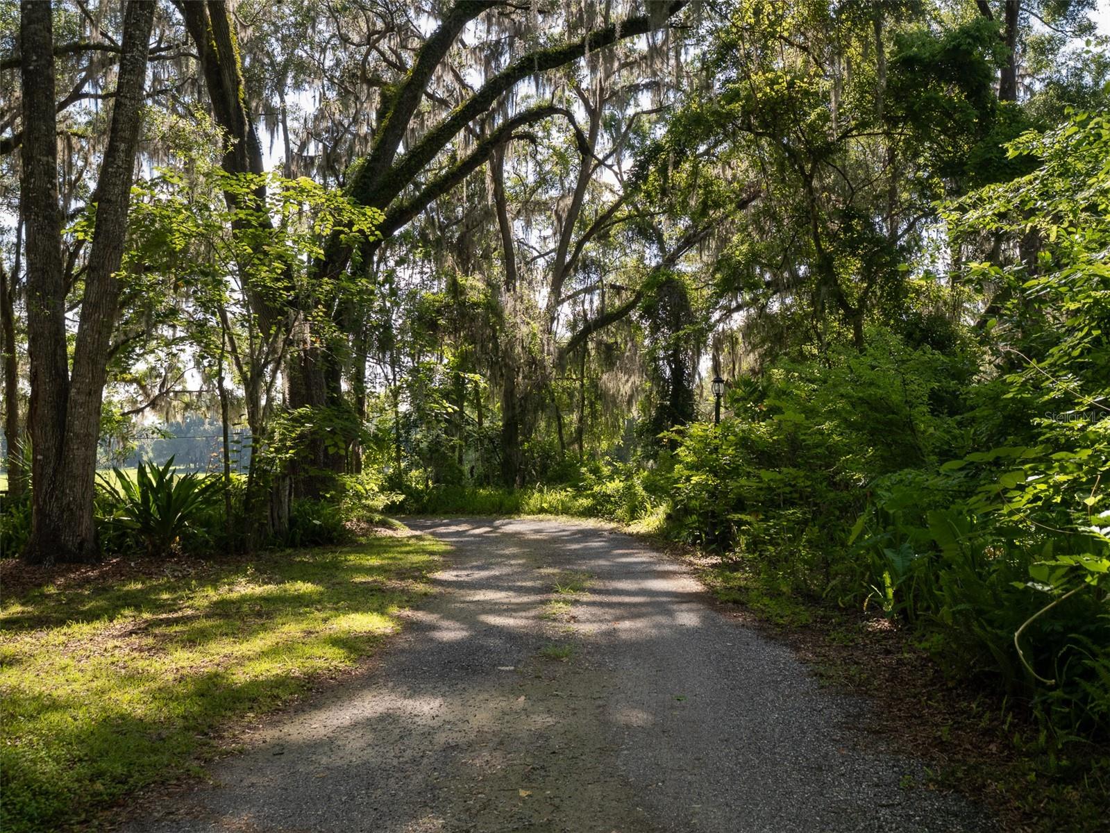 818 NW 202 ST, NEWBERRY, FL, 32669