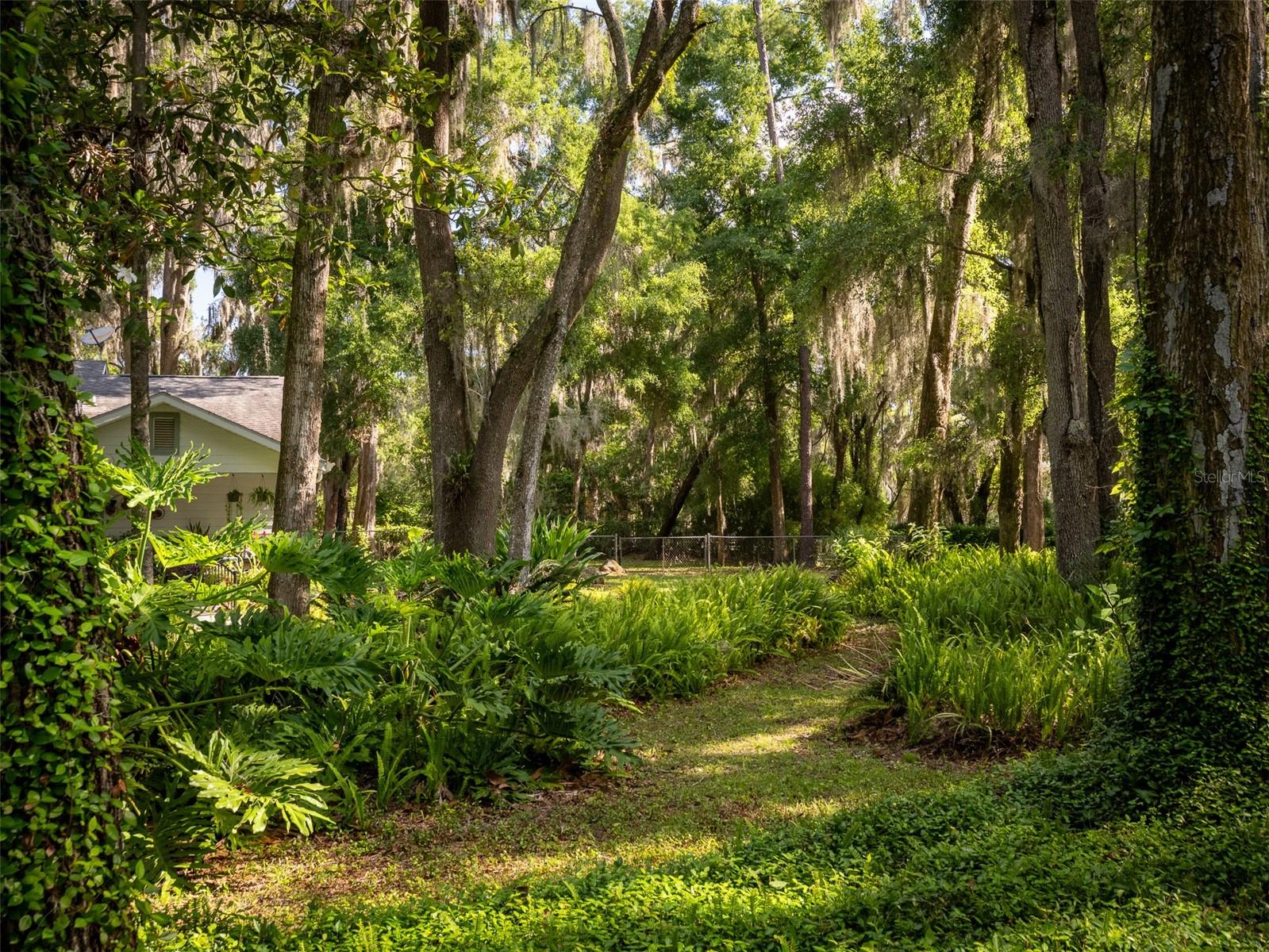 818 NW 202 ST, NEWBERRY, FL, 32669