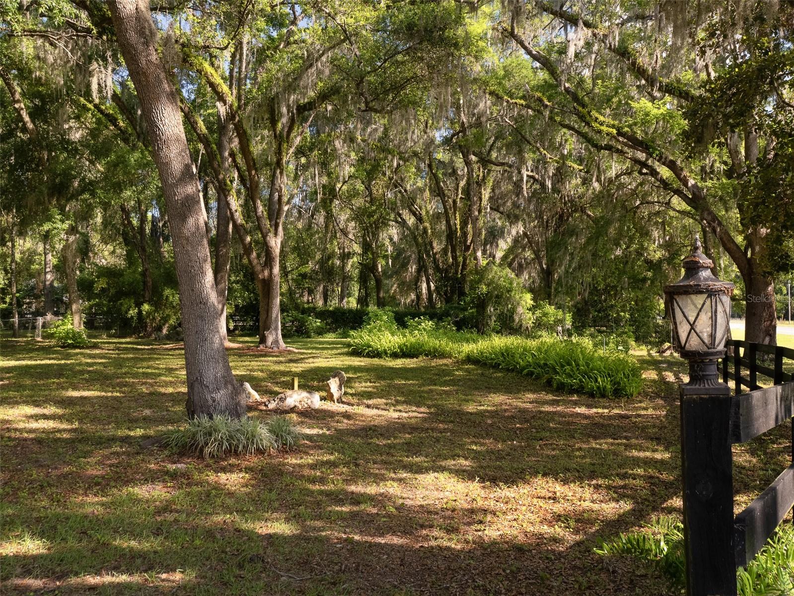 818 NW 202 ST, NEWBERRY, FL, 32669