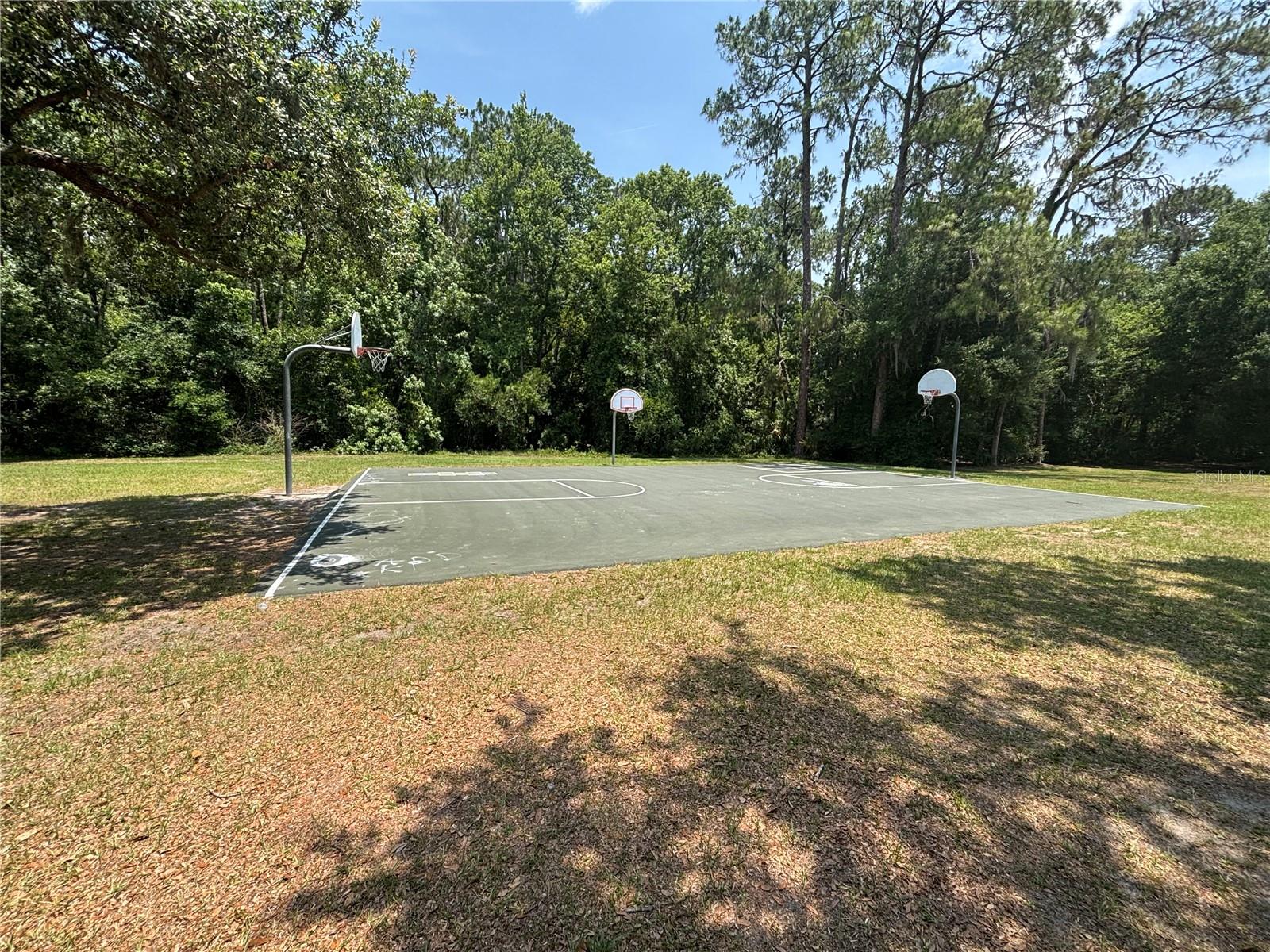 4506 GENTRICE DR, VALRICO, FL, 33596