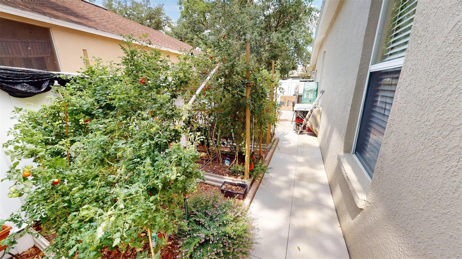 4506 GENTRICE DR, VALRICO, FL, 33596