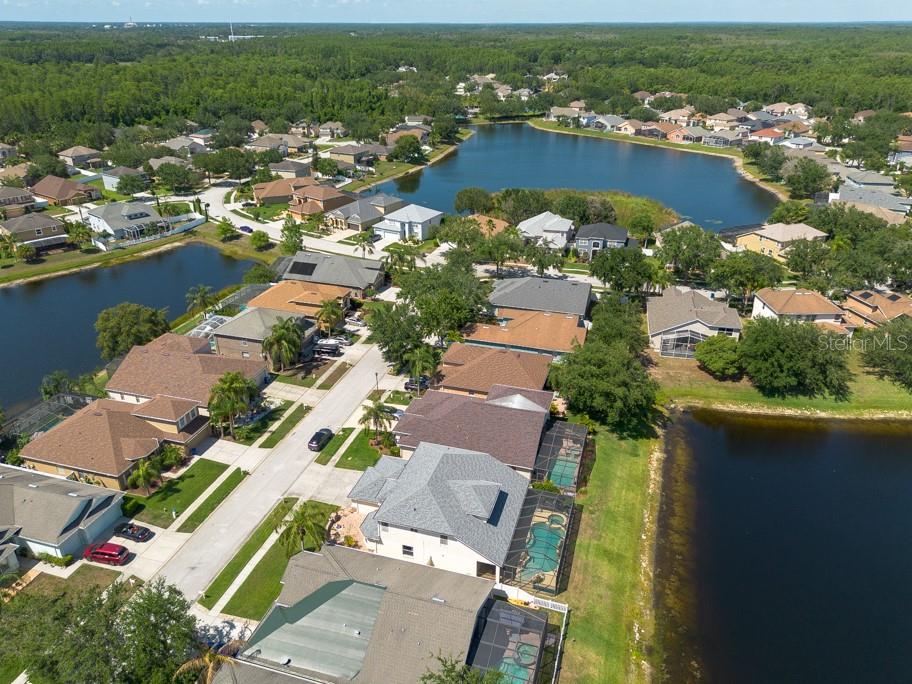 10522 SKY FLOWER CT, LAND O LAKES, FL, 34638