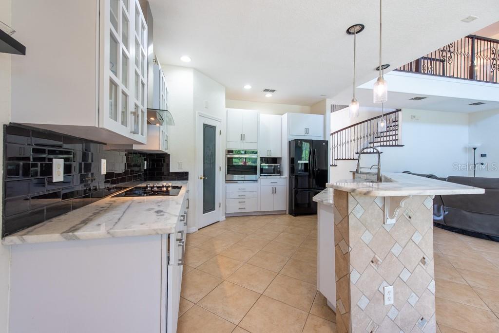 10522 SKY FLOWER CT, LAND O LAKES, FL, 34638