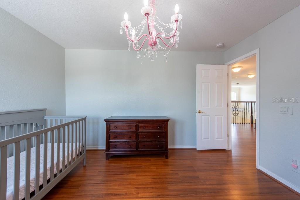 10522 SKY FLOWER CT, LAND O LAKES, FL, 34638