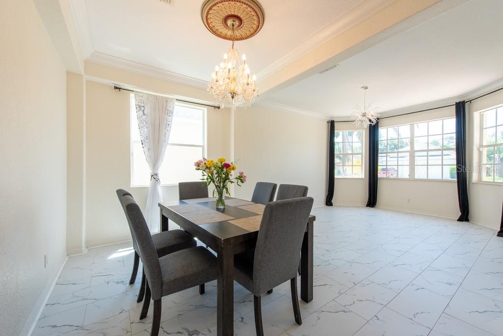 10522 SKY FLOWER CT, LAND O LAKES, FL, 34638