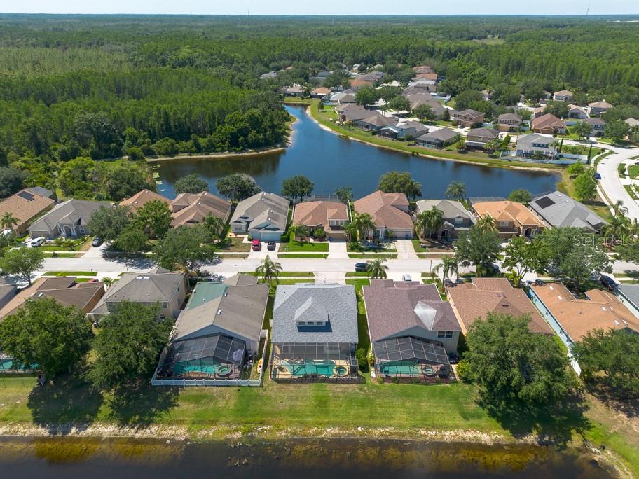 10522 SKY FLOWER CT, LAND O LAKES, FL, 34638