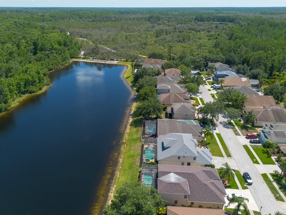 10522 SKY FLOWER CT, LAND O LAKES, FL, 34638