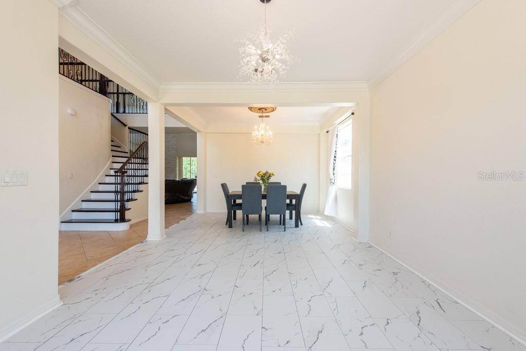 10522 SKY FLOWER CT, LAND O LAKES, FL, 34638