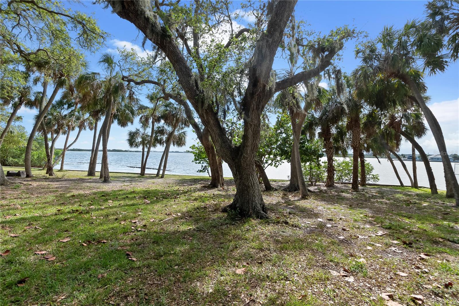 8350 40TH AVE N, ST PETERSBURG, FL, 33709