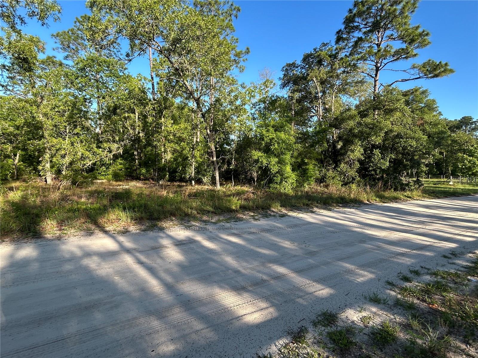 NE 139TH AVE, WILLISTON, FL, 32696