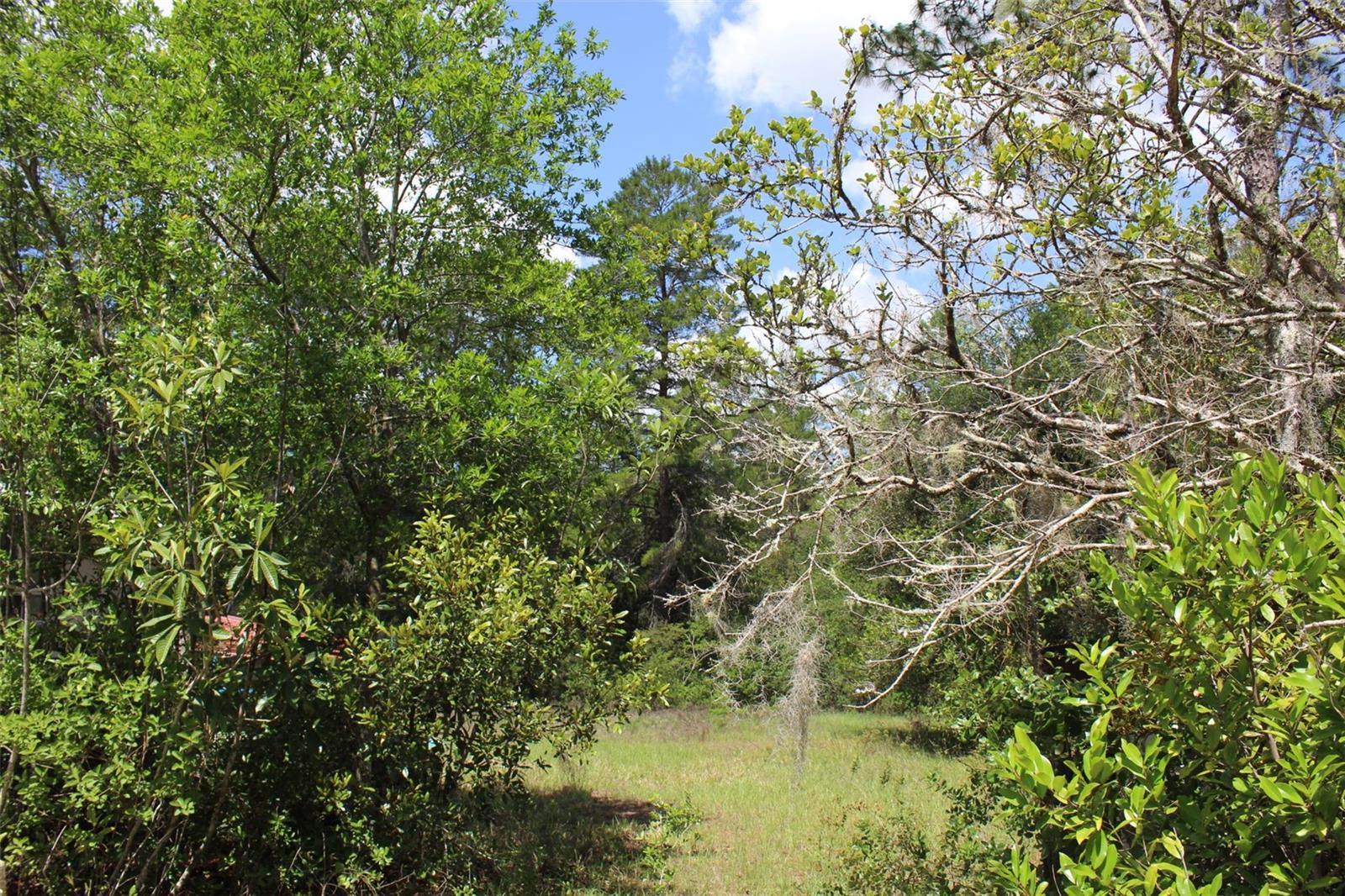 5235 W GAIL LN, DUNNELLON, FL, 34433