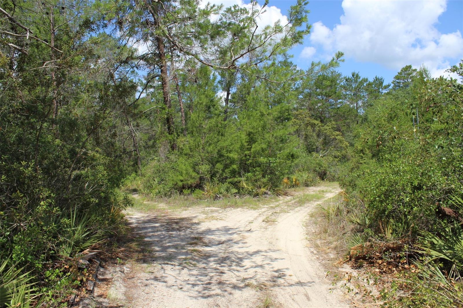 5235 W GAIL LN, DUNNELLON, FL, 34433