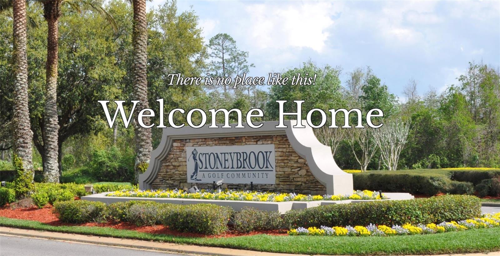 14780 HARTFORD RUN DR, ORLANDO, FL, 32828