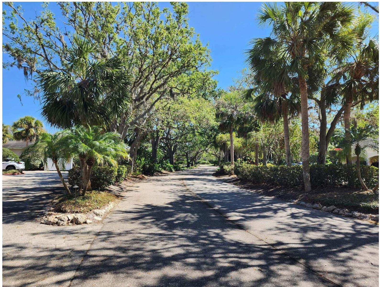 76 BISHOPS COURT RD #116, OSPREY, FL, 34229