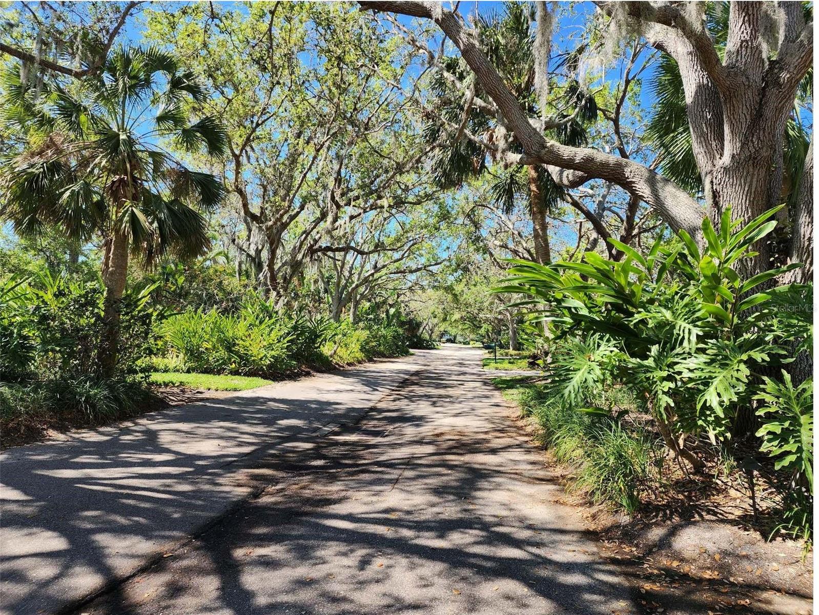 76 BISHOPS COURT RD #116, OSPREY, FL, 34229