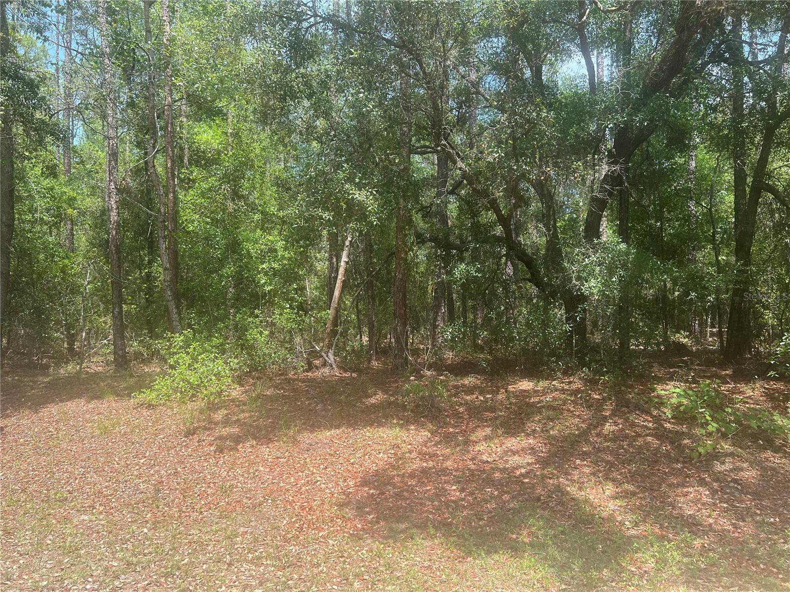 8729 N WALLINGFORD AVE, DUNNELLON, FL, 34434