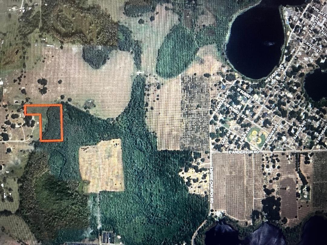 BRANTLEY RD, GROVELAND, FL, 34736