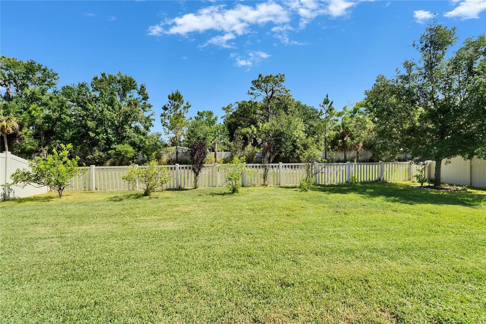 17510 BRIGHT WHEAT DR, LITHIA, FL, 33547