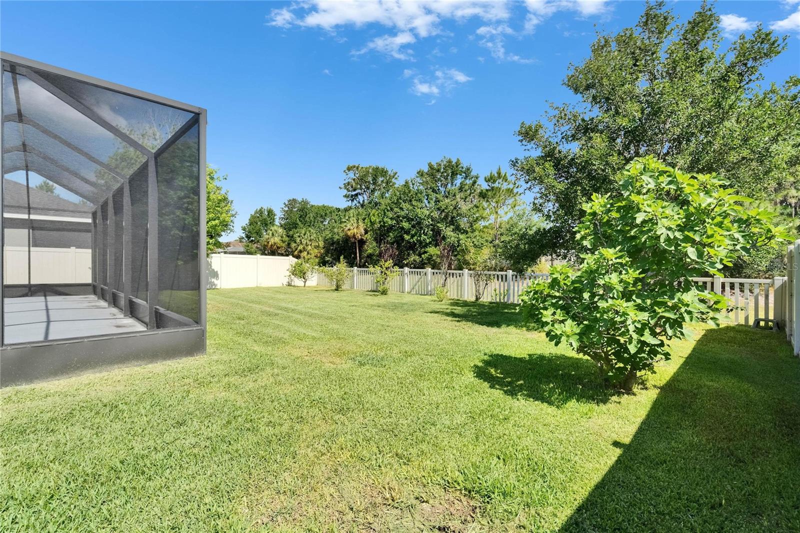 17510 BRIGHT WHEAT DR, LITHIA, FL, 33547