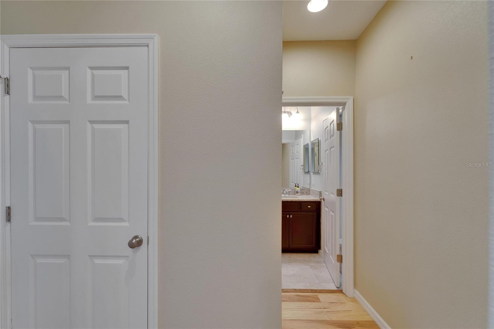 17510 BRIGHT WHEAT DR, LITHIA, FL, 33547