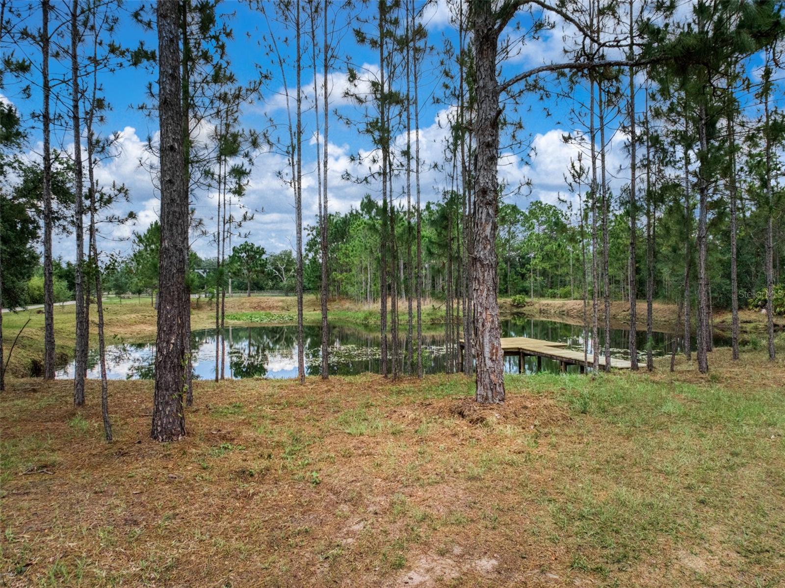3324 MILLER AVE, LAKE PLACID, FL, 33852