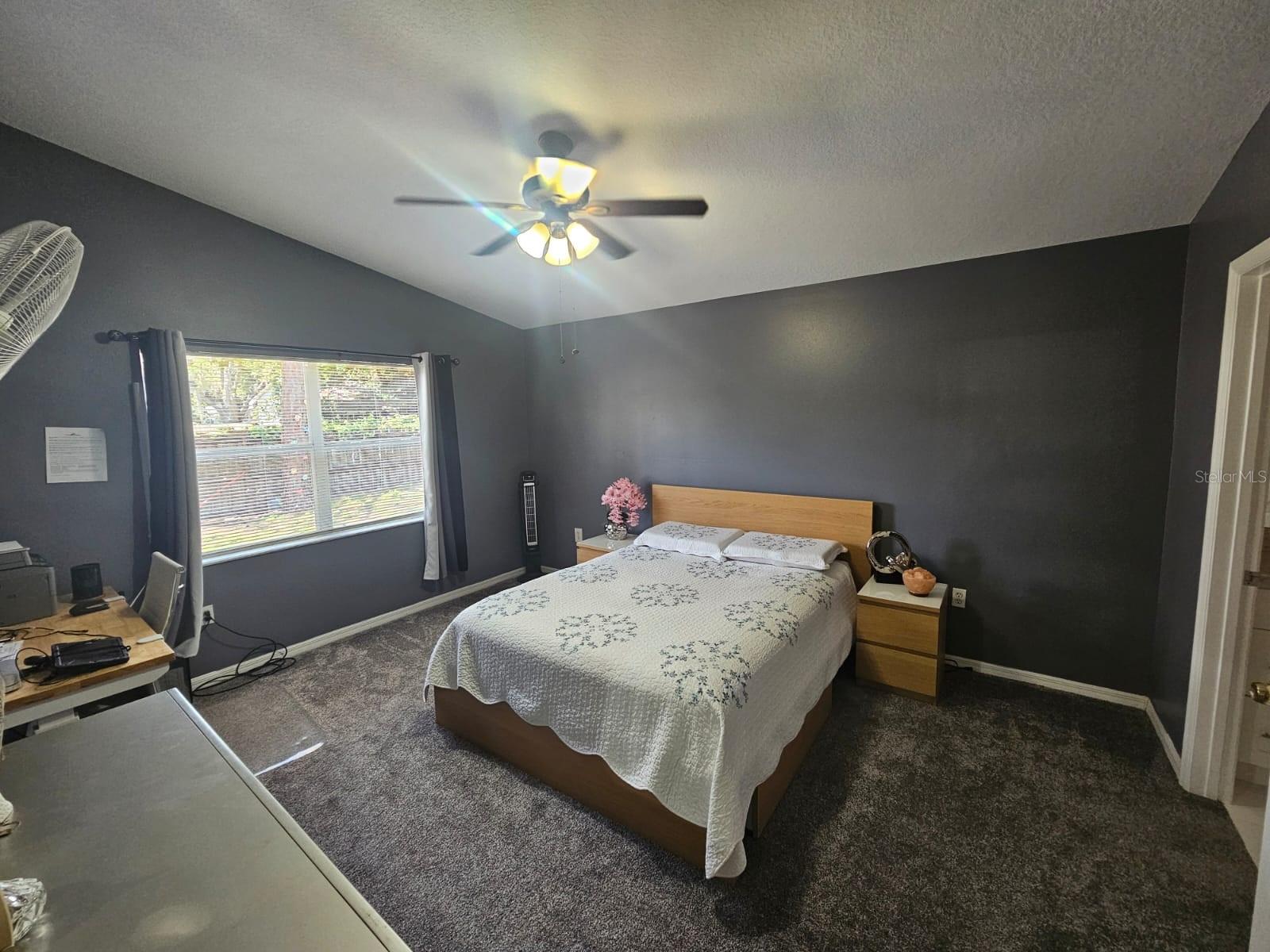 6436 FIG LEAF ST, MAGNOLIA SQUARE, FL, 34771