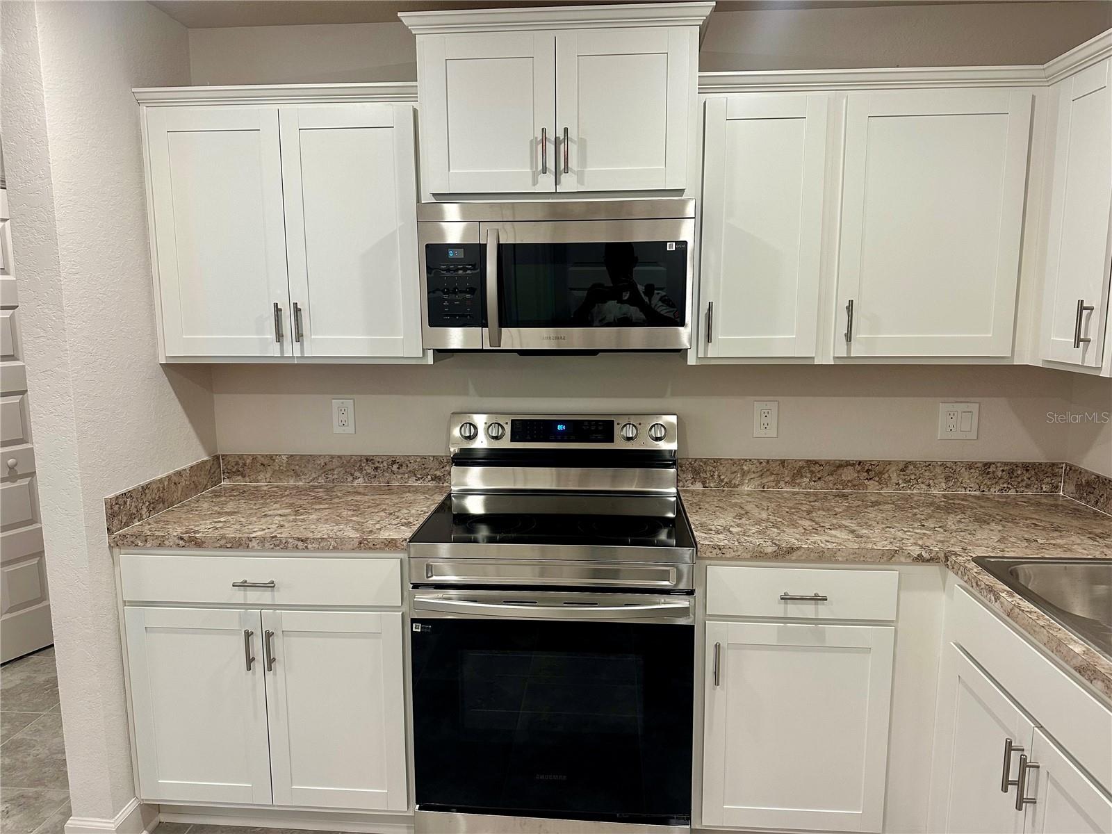 1253 DOSSEYWOOD LN, LAKELAND, FL, 33811