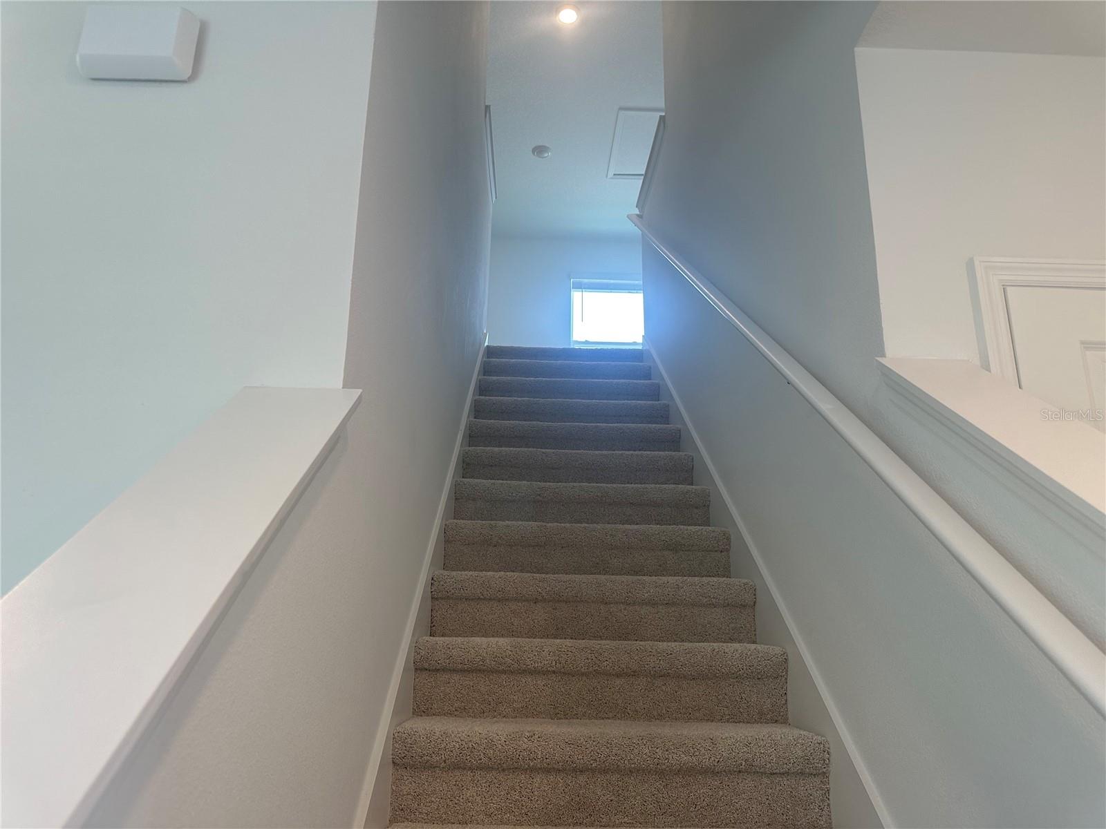 10574 DUSTY BOOT RD, LAND O LAKES, FL, 34638