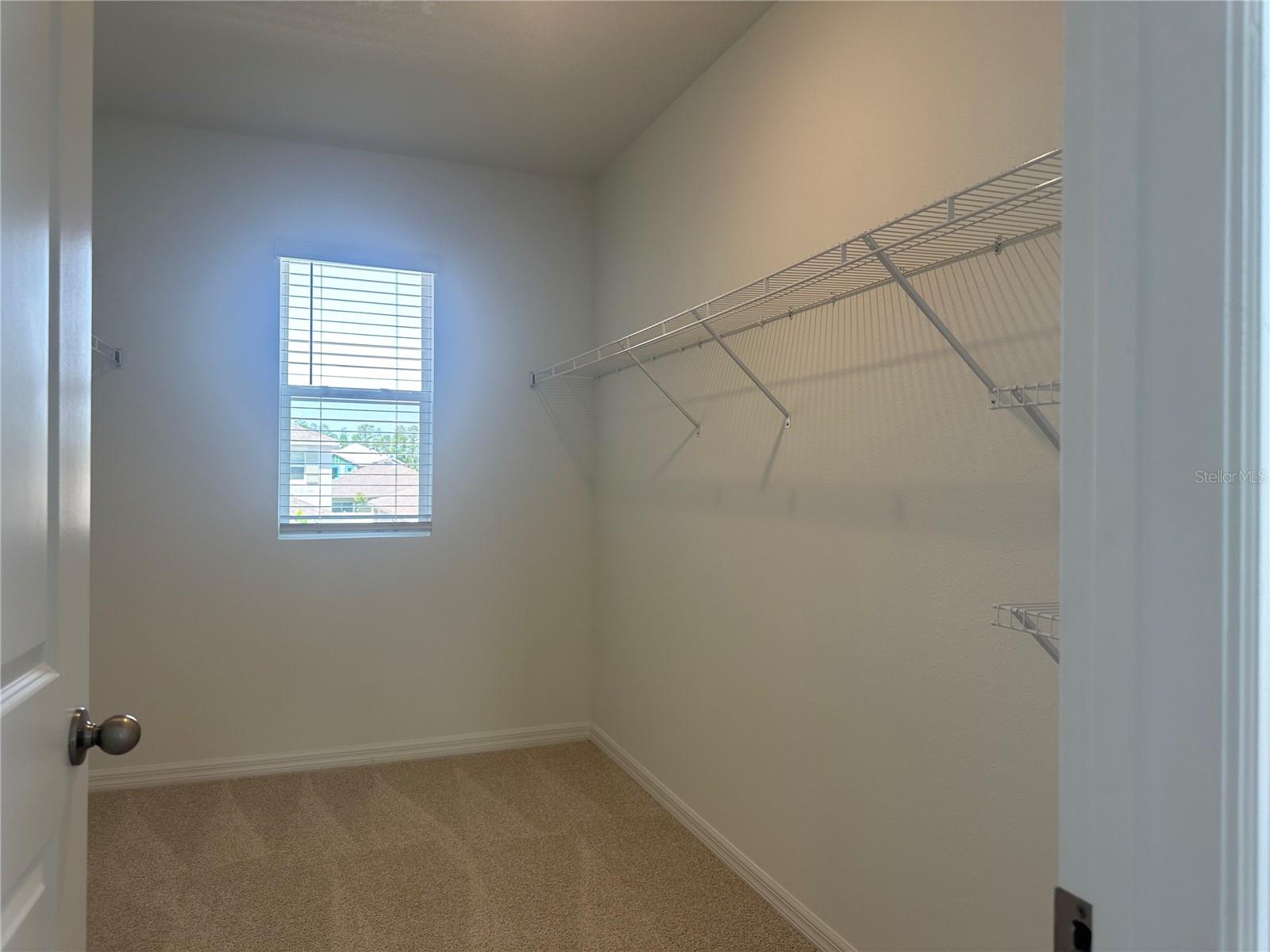 10574 DUSTY BOOT RD, LAND O LAKES, FL, 34638