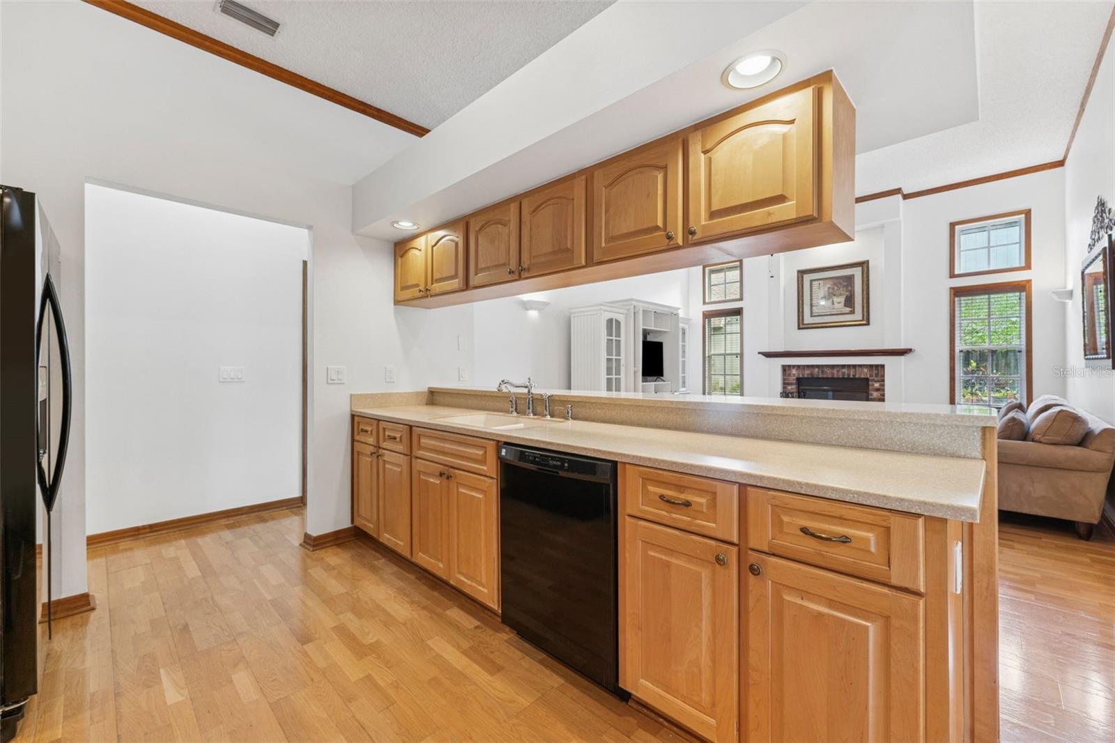 15615 INDIAN QUEEN DR, ODESSA, FL, 33556