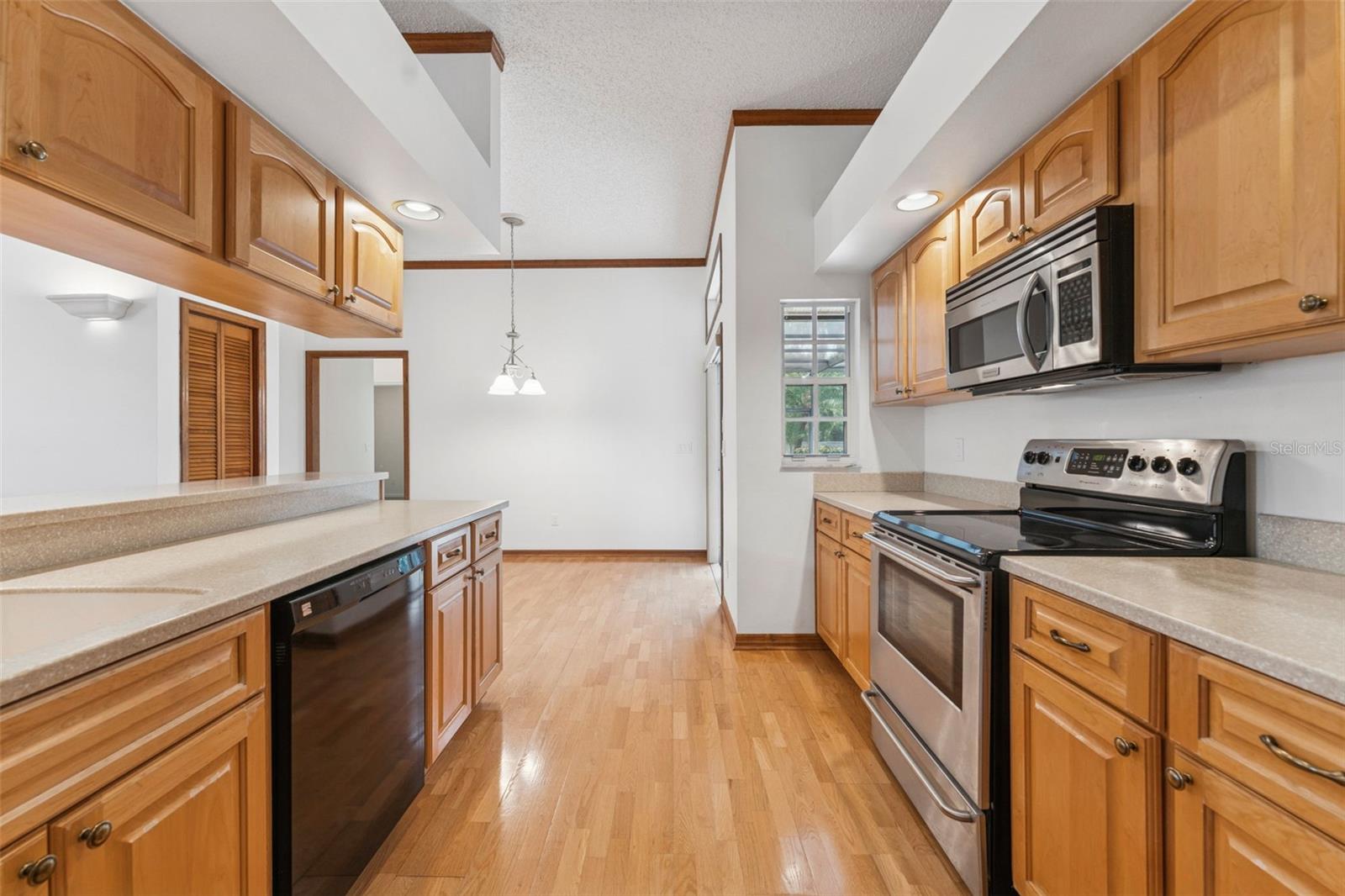 15615 INDIAN QUEEN DR, ODESSA, FL, 33556