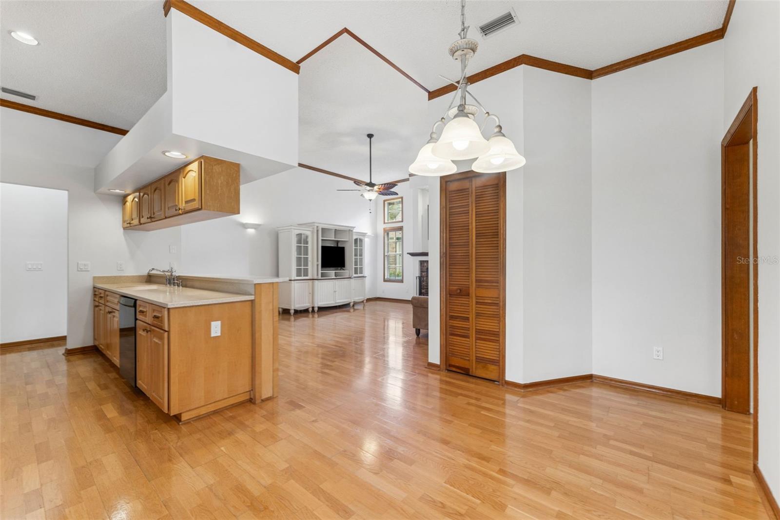 15615 INDIAN QUEEN DR, ODESSA, FL, 33556