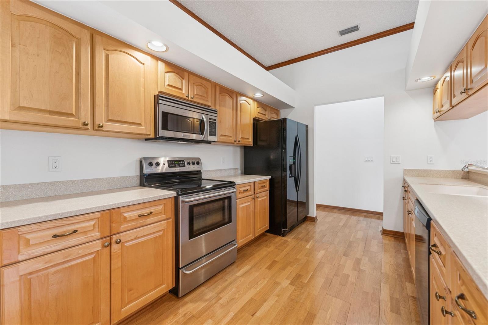 15615 INDIAN QUEEN DR, ODESSA, FL, 33556