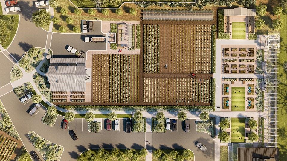 9554 MINNOW RAY DR, LAND O LAKES, FL, 34638