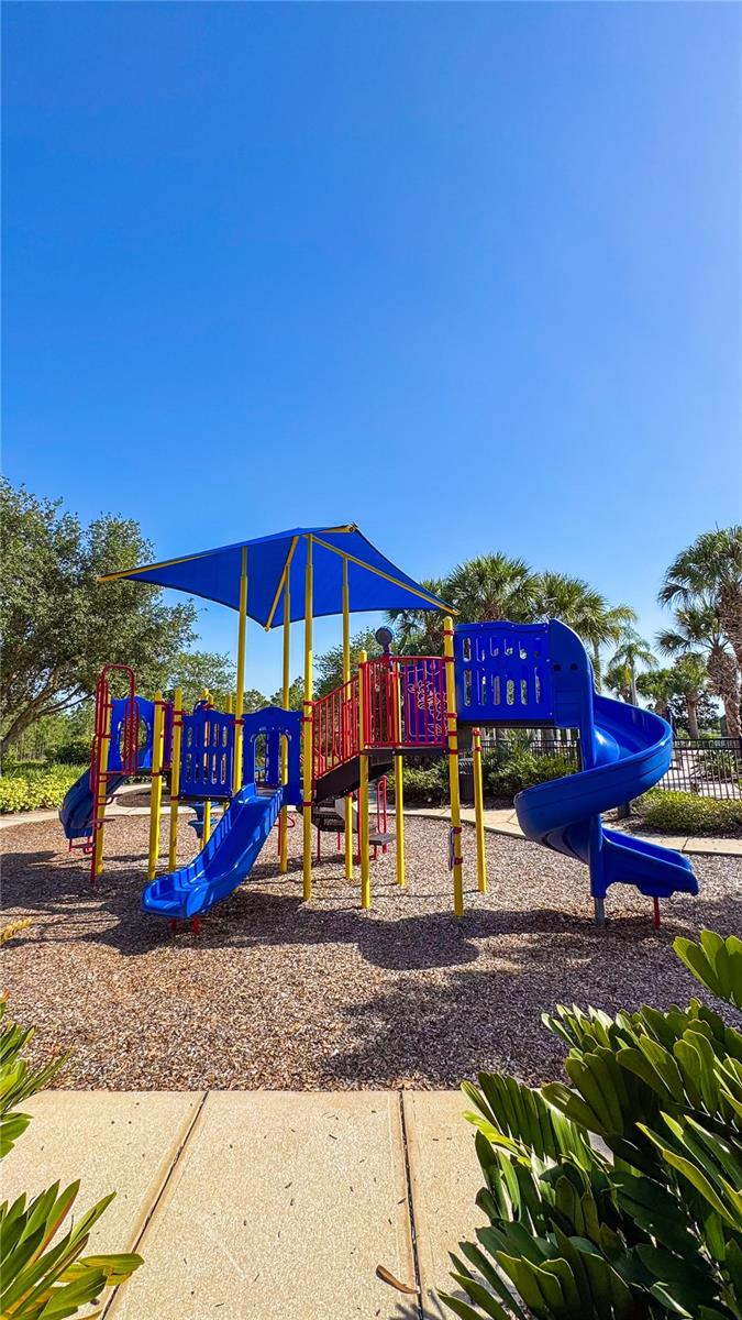 206 YELLOW SNAPDRAGON DR, DAVENPORT, FL, 33837