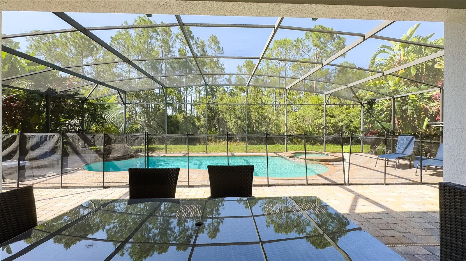 206 YELLOW SNAPDRAGON DR, DAVENPORT, FL, 33837