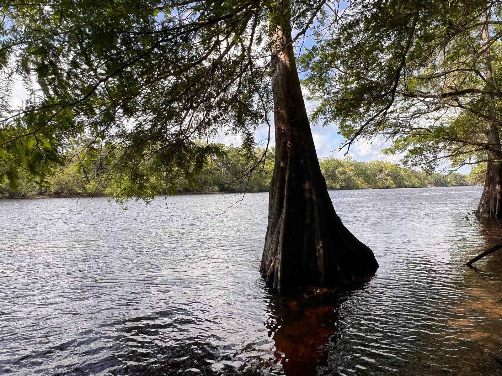 TBD NW 32ND PL, BELL, FL, 32619